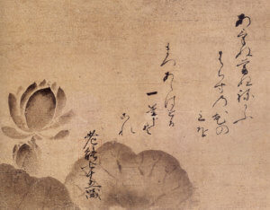 Lotus by Nōami