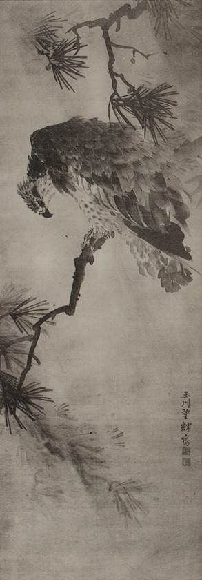 Painting of hawk by Mochizuki Gyokusen (望月玉川)