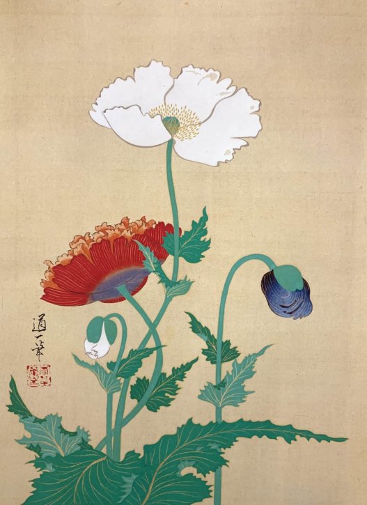 “Keshi-Zu (Opium Poppies Painting)” by Sakai Dōitsu