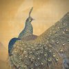“Peacock Painting” by Araki Kanpo
