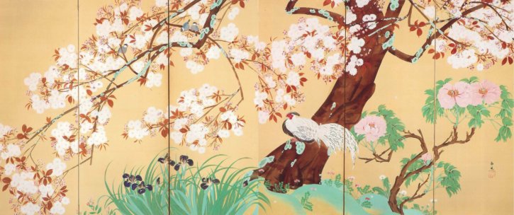 Cherry Blossoms by Katayama Nanpū