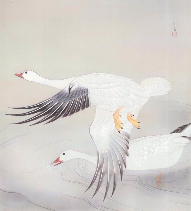 White Geese by Fukuda Suikō