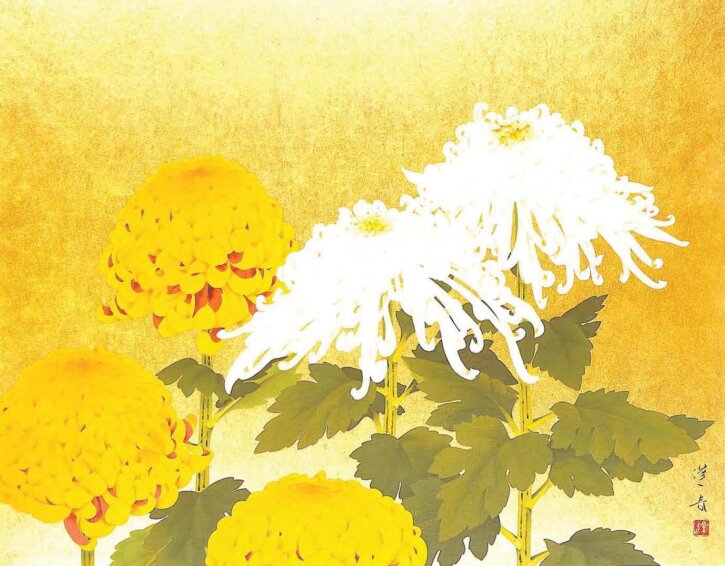 Chrysanthemum by Yamaguchi Hōshun