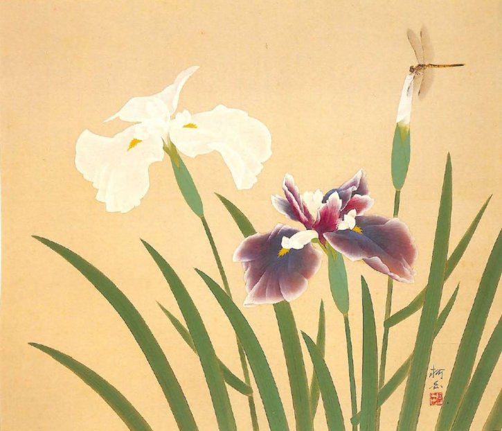 Japanese Iris by Kobayashi Kahaku