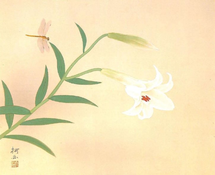 White Lily by Kobayashi Kahaku